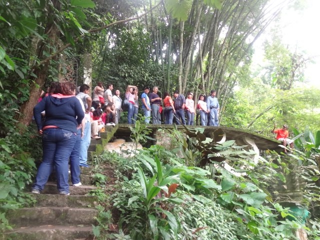  In the gardens 